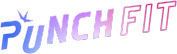 Логотип PUNCH FIT