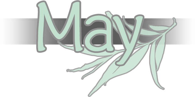 Логотип May