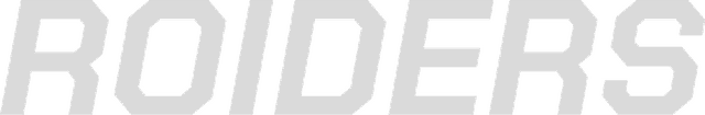 Логотип ROIDERS