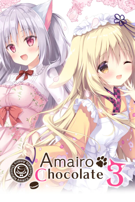Amairo Chocolate 3