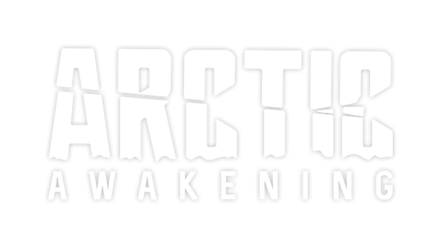 Логотип Arctic Awakening