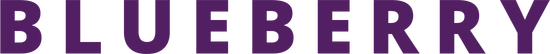 Логотип Blueberry