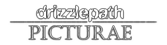Логотип Drizzlepath: Picturae