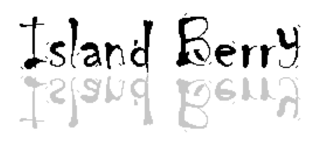 Логотип Island Berry