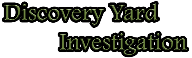 Логотип Discovery Yard Investigation