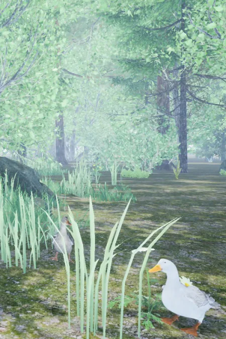 Duck Flight Simulator 2021