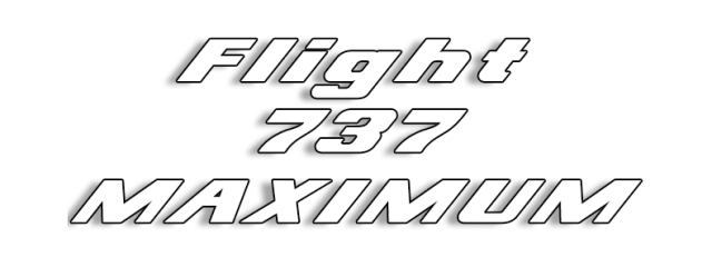 Логотип Flight 737 - MAXIMUM