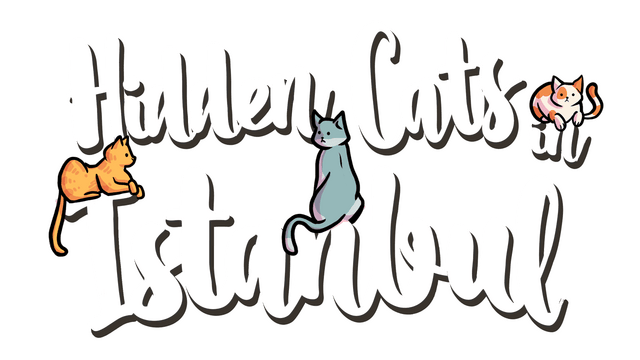 Логотип Hidden Cats in Istanbul
