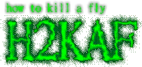 Логотип how to kill a fly H2KAF