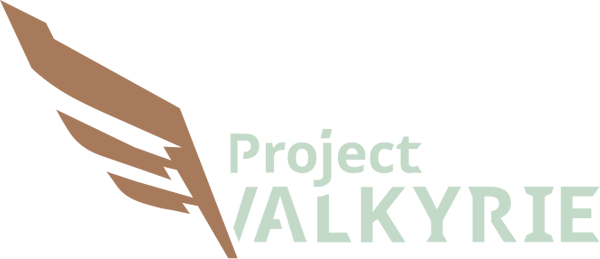 Логотип Project Valkyrie