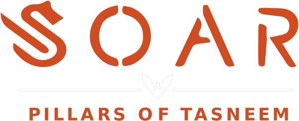 Логотип Soar: Pillars of Tasneem