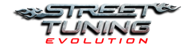 Логотип Street Tuning Evolution
