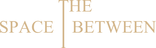 Логотип The Space Between