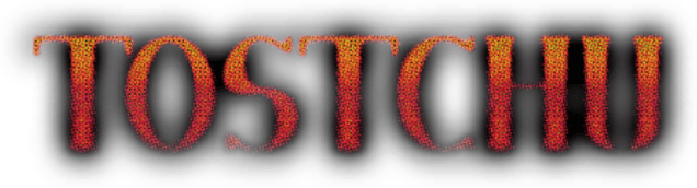 Логотип Tostchu