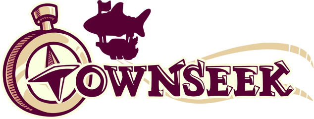 Логотип Townseek