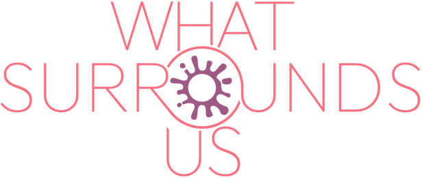 Логотип What Surrounds Us