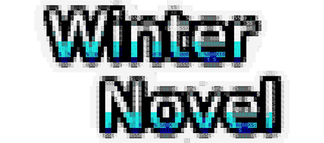 Логотип Winter Novel