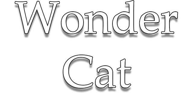 Логотип Wonder Cat