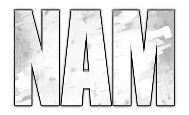 Логотип NAM