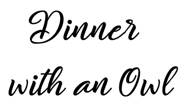Логотип Dinner with an Owl