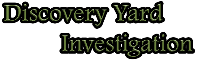 Логотип Discovery Yard Investigation