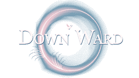 Логотип Down Ward