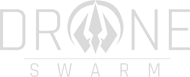 Логотип Drone Swarm