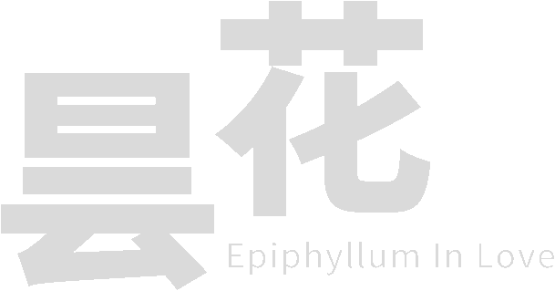 Логотип Epiphyllum in Love