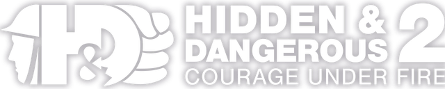 Логотип Hidden & Dangerous 2: Sabre Squadron