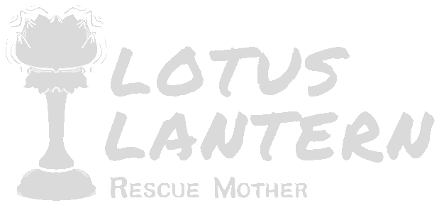 Логотип Lotus Lantern: Rescue Mother